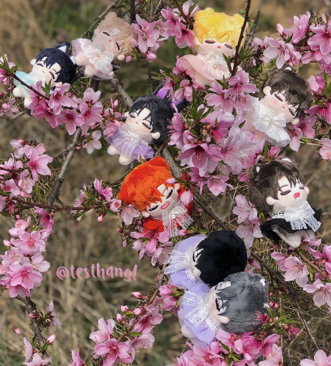 🔆 tweet media