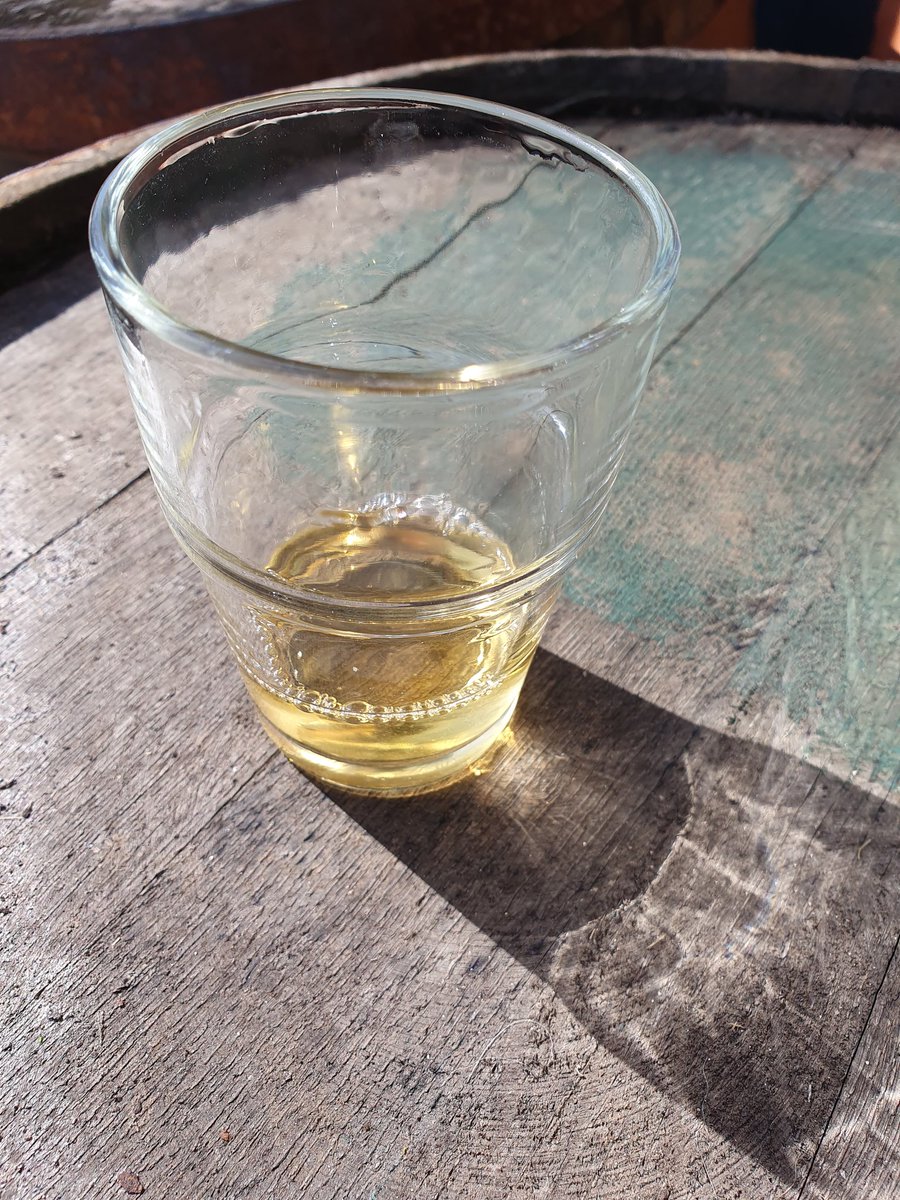 CiderTemple's tweet photo. Busy in the cider shed, with a few samples to help the work along. Pure Bramley this one; oof it's a palate cleanser! Perry blend earlier was a dream. π
#dorsetcider #cidersampling https://t.co/VlVQa4ZDd3