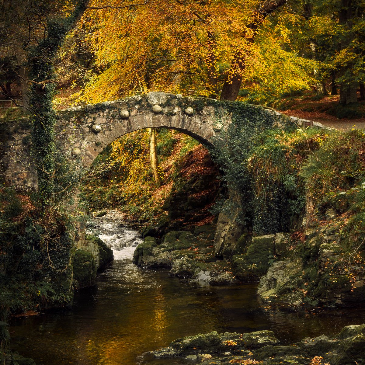 Foley's Bridge in Tollymore Forest, as seen in Game of Thrones.

@ThePhotoHour @the_full_irish_ @theirelandguide @GoToIrelandUS @TourismIreland @TourismNIreland @PictureIreland @FollowIreland @Beyond_Antrim @ancienteastIRL