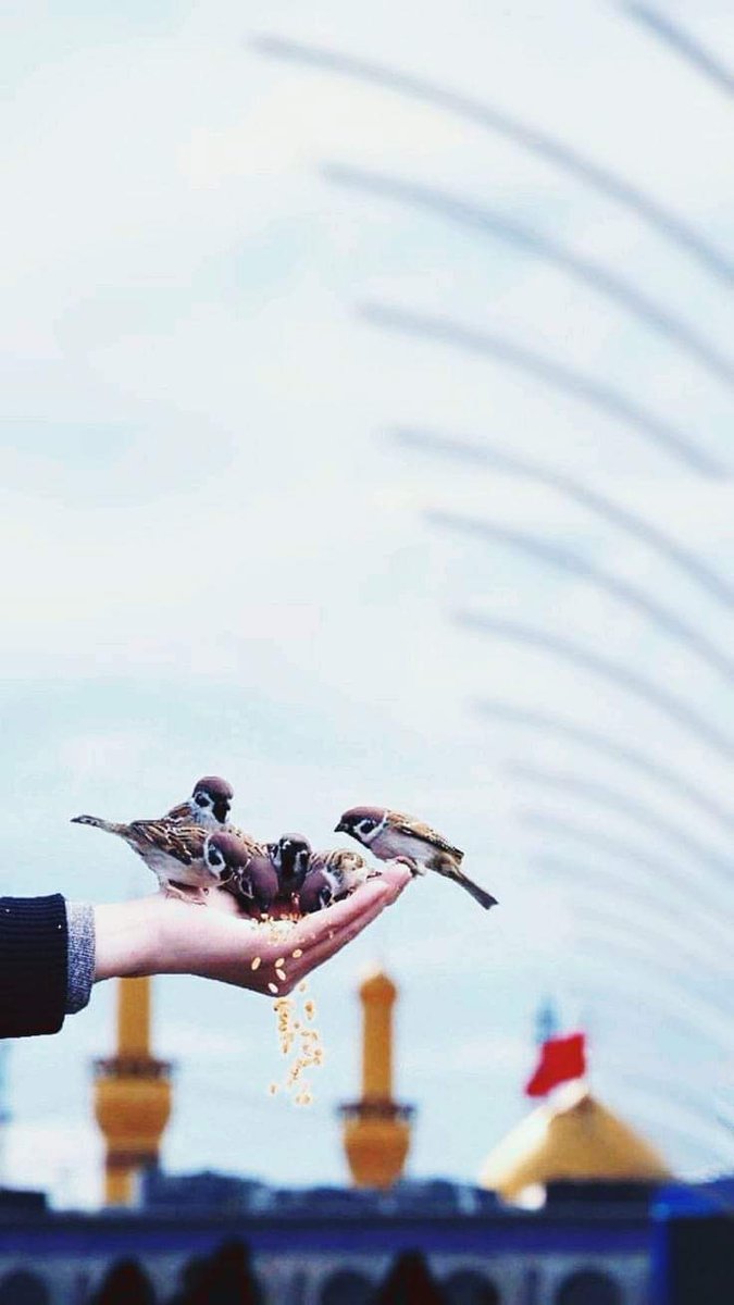 کون جانے سر حشر تماشہ___کیا ہو ...!!
آؤ سب مل کر اسی دنیا کو جنت کر دیں..