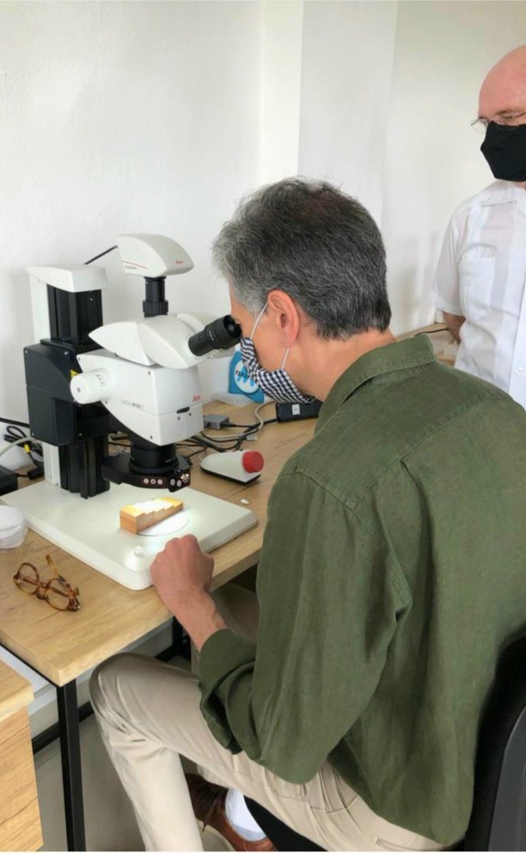 En este #DiaMundialdelaSalud, quiero destacar la dinámica cooperación 🇨🇵🇲🇽 en este ámbito (medicina de emergencia, geriatría, trasplantes...). En Mérida, el laboratorio <a href="/Eldorado_Intl/">Eldorado International Lab</a> (<a href="/unam/">UNAM</a> y <a href="/ird_fr/">IRD.fr</a> ) 👇 trabaja sobre la prevención de enfermedades emergentes. #OneHealth