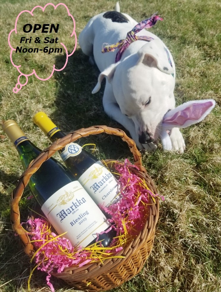 CheersMarkkoVyd's tweet photo. You should hop on by for some wine and sunshine!
#markkovineyard #conneaut  #AshtabulaWineCountry #lakeerielove🐰🍷 https://t.co/NP3wT2mZhZ