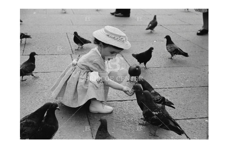 A few fine feathered friends for the #ArchivesHashtagParty! This charming photo of a girl feeding pigeons was taken by Russell Lee in Bologna, Italy, 1960. #ArchivesForTheBirds