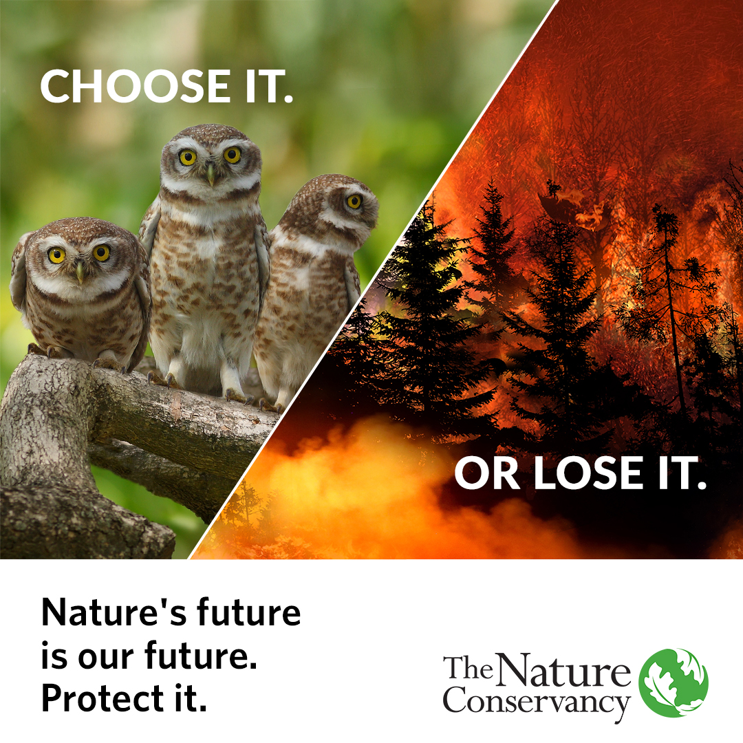 Conserve_CA's tweet photo. #CALeg: From drought to flooding, climate change is turning CA's weather into something catastrophic. But if we take steps now to ensure nature thrives, we can mitigate the worst impacts of climate change.

It’s time for a Climate Bond. #ChooseItORLoseIt
https://t.co/FukMvJeJuT https://t.co/7q7p8rbNQc