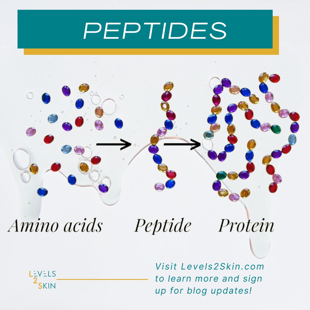 Levels 2 Skin tweet media