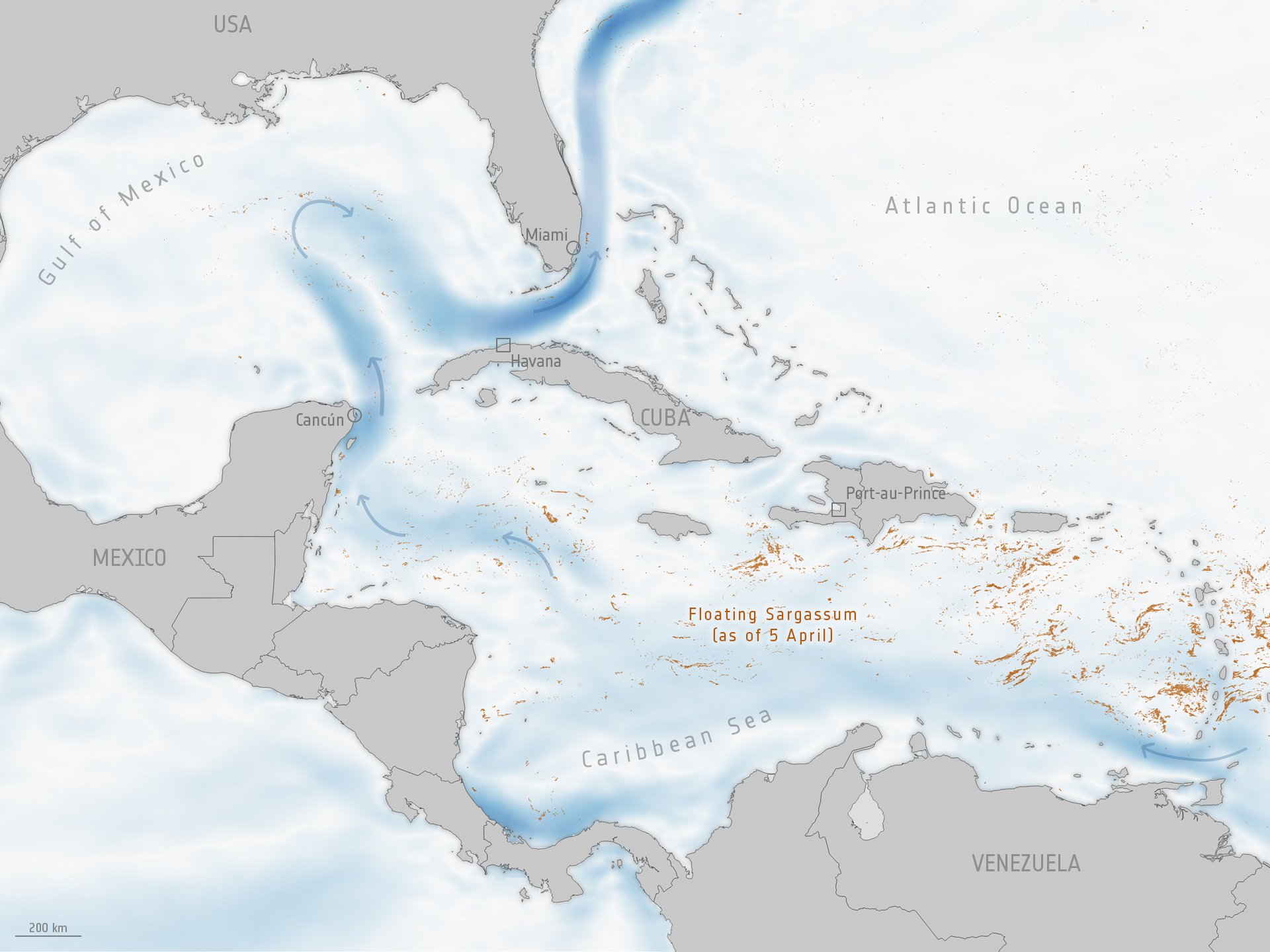 Great atlantic. Саргасса карта. Карибское или Саргассово море южнее. Саргасс Канкун. Саргасса все секреты карта.