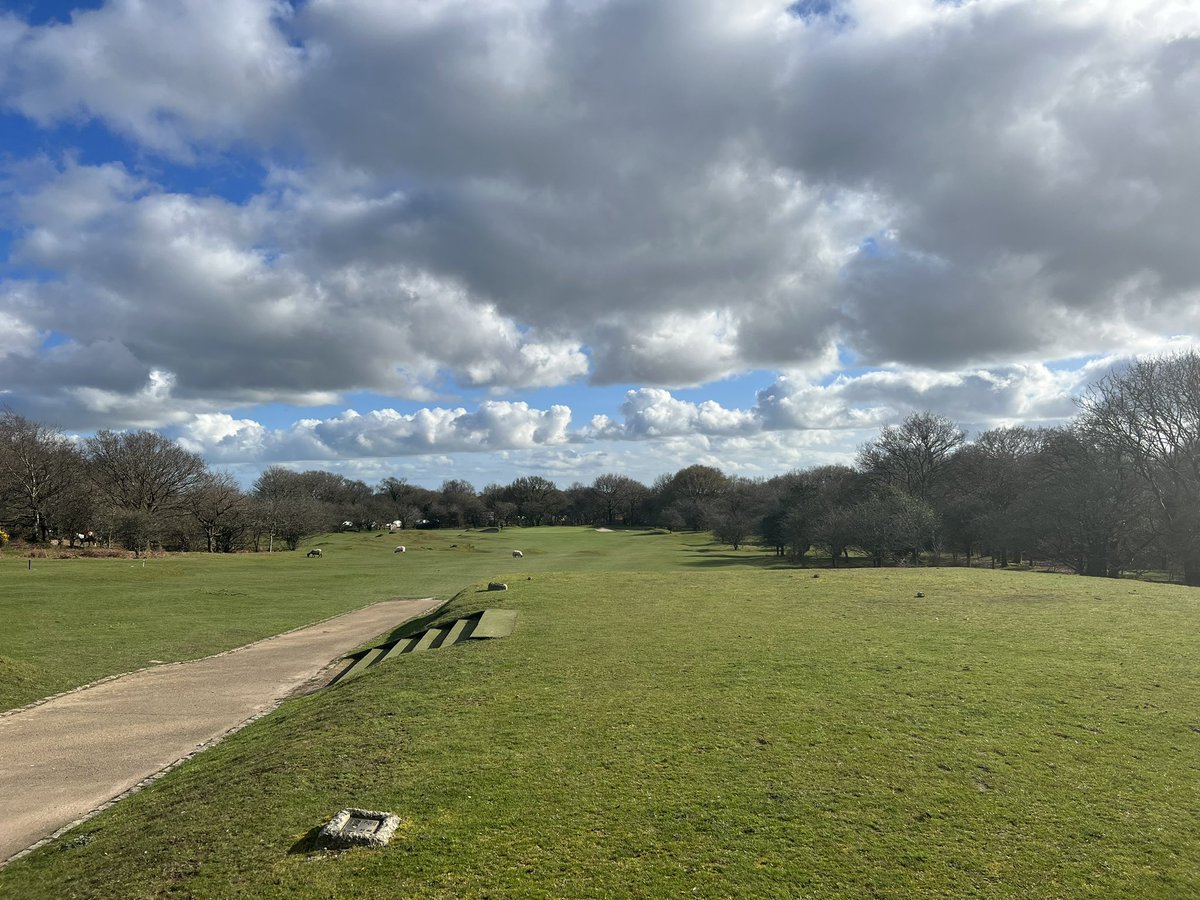 Yelverton Golf Club tweet media