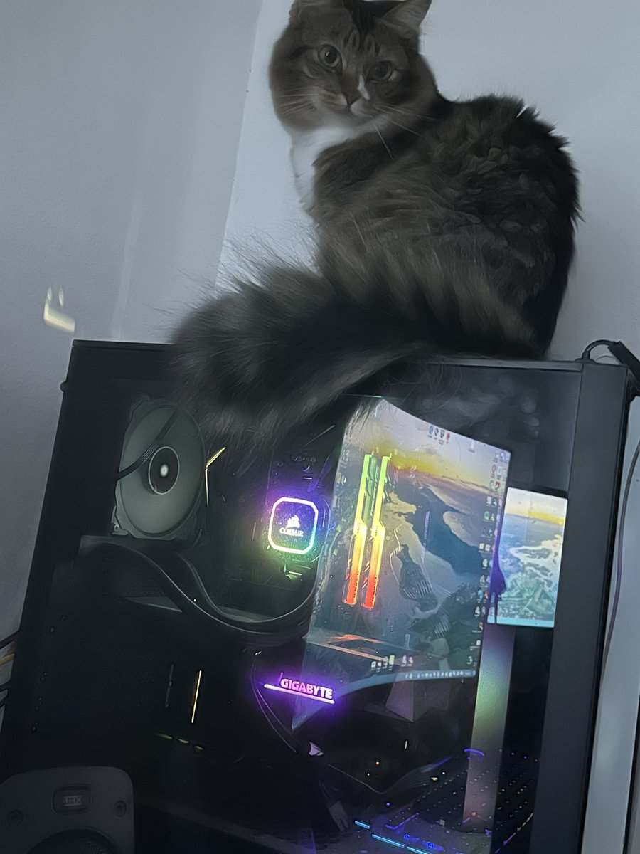 DJVixMoore's tweet photo. @AORUS_ZA How’s that dev coming on the cat master 😋 #savemypc #aoruscatmaster https://t.co/EVyRfQDToA