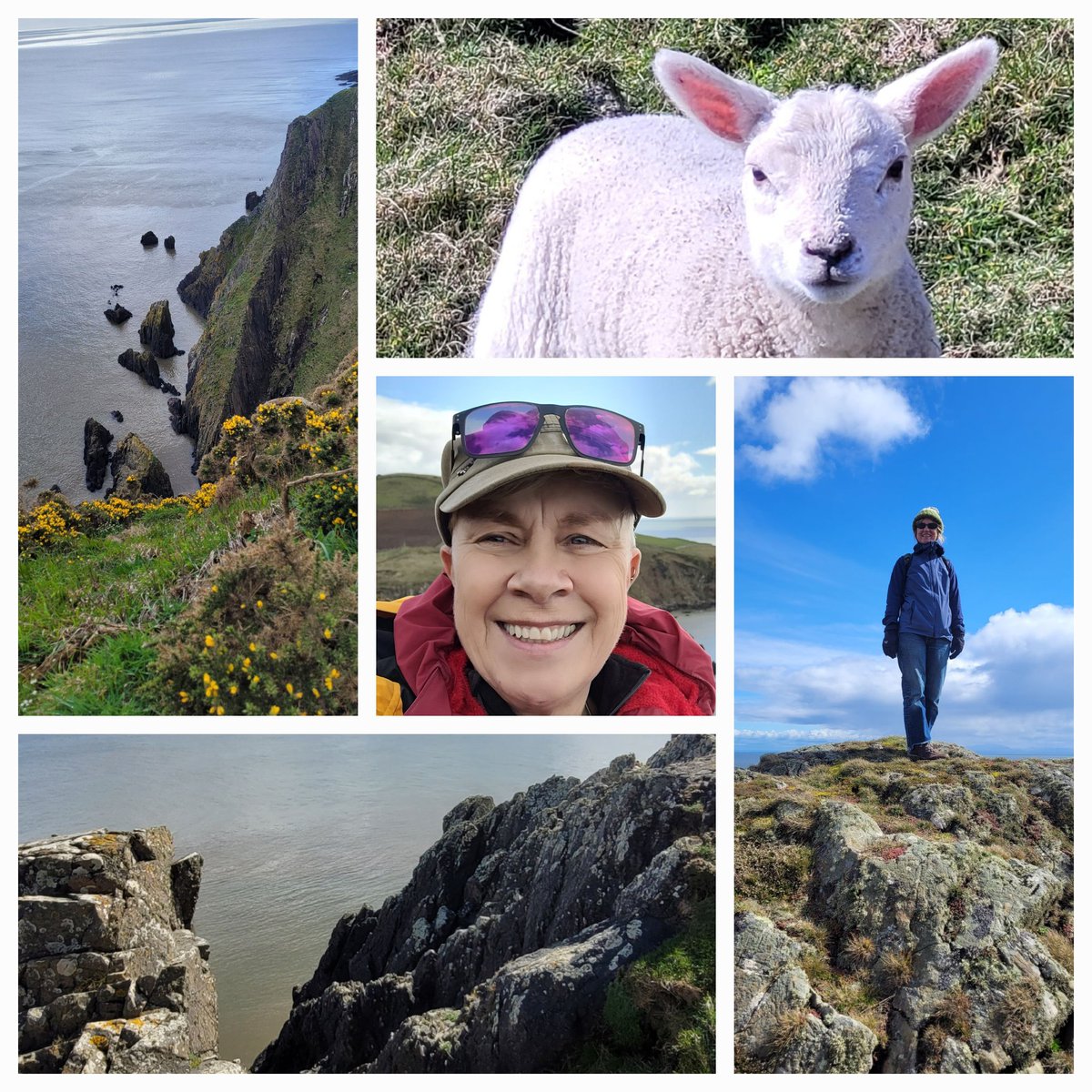 DorwardLindaJ's tweet photo. Down time, out and about exploring D&amp;G wirh @Climbeveryhill. Balcary Bay and Rascarrel walk today. Pups stayed at home, sheep happy 🐑. 
Dumfries and Galloway - Good for the soul 😎 https://t.co/H0iYHmFnOc