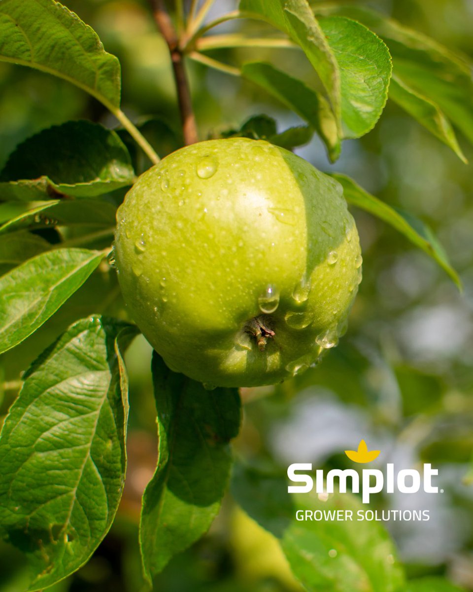 California farmers are facing significant challenges due to the historic rainfall.🌧️ We recognize farmers' crucial role in feeding the world, and we're committed to helping our growers overcome these challenges with every crop advisor creating tailored solutions for every acre.