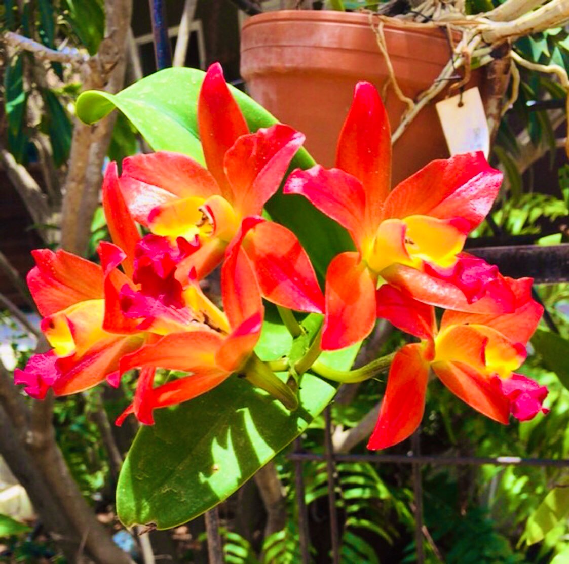 ARUBAMOVING's tweet photo. Our office and operations will be closed on Good Friday and Easter Monday
Happy Easter🐣🐰🌷
Best wishes from Aruba International Relocations
#movingtoaruba #werkenoparuba
#aruba https://t.co/we9bXUubHS