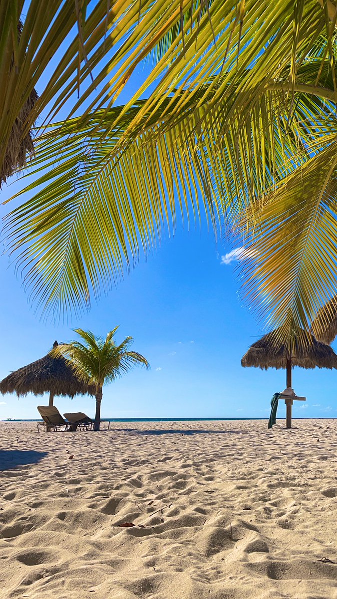 ARUBAMOVING's tweet photo. Our office and operations will be closed on Good Friday and Easter Monday
Happy Easter🐣🐰🌷
Best wishes from Aruba International Relocations
#movingtoaruba #werkenoparuba
#aruba https://t.co/we9bXUubHS