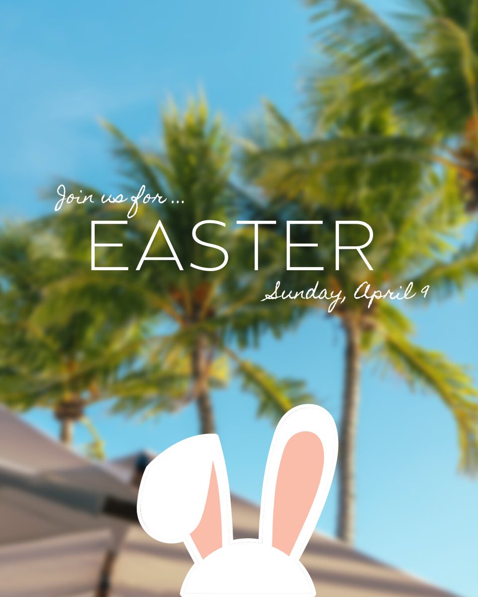 Attention little chefs! This Easter, we are going to have a very special guest appearance by the Easter Bunny at NOMA Beach!🐰💐 Families, come on down and bring your little ones for a day of fun and lots of delicious food☀️