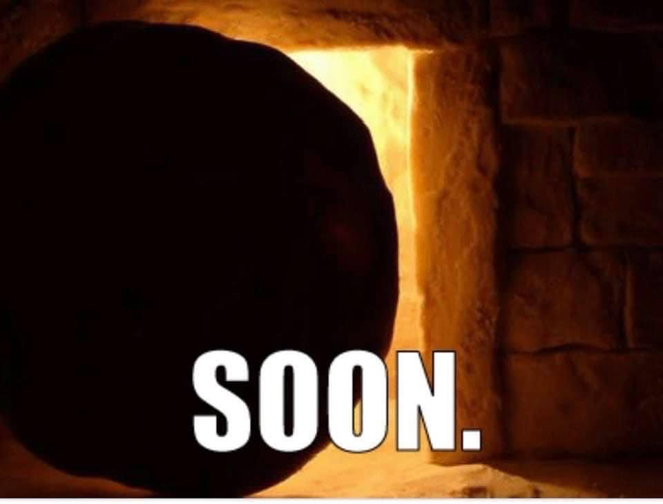 Dixie Andelman (@dixieandelman) on Twitter photo 