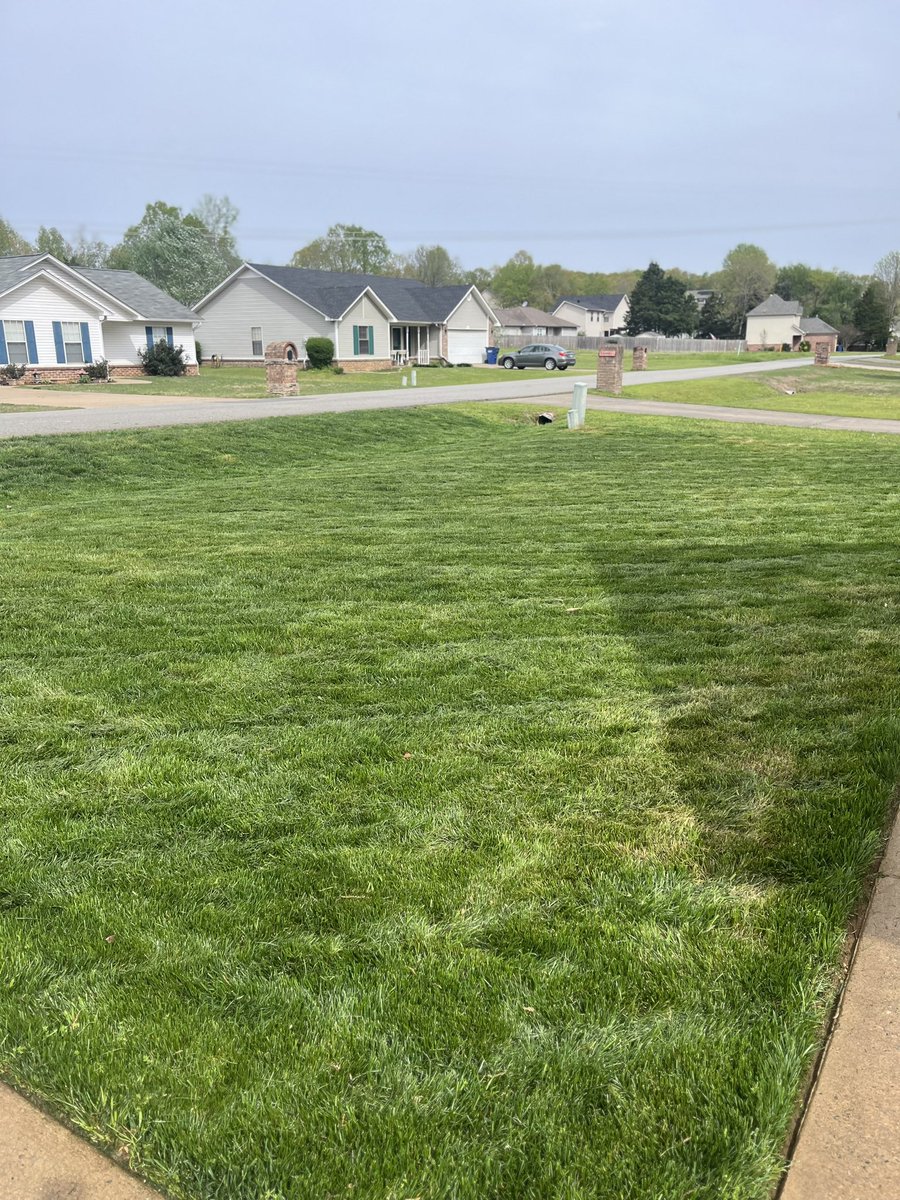 Always feels good getting a cut in @MrFergusonLawn 
#lawngoals
#lawncare