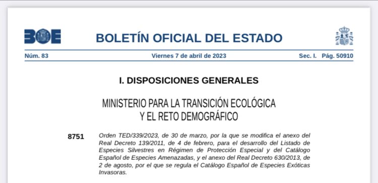 Avui oficialment el sisó i l’alosa becuda han estat declarades espècies En Perill 🆘a España. Estem perdent la biodiversitat en les estepes cerealístiques degut a la desaparició d’un model agrícola tradicional on el guaret en formava part i de la pèrdua de la ramaderia extensiva.