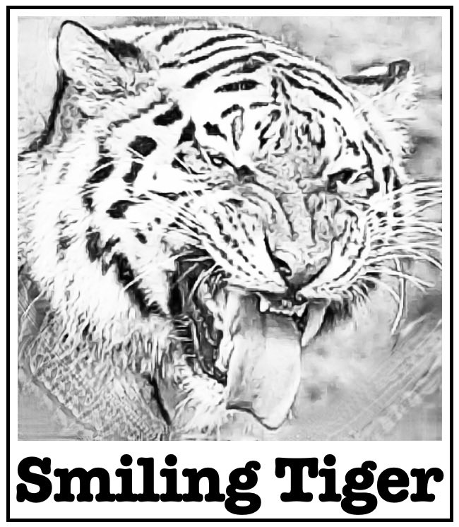 I’m releasing my first solo music album “Detroit” on May 1, 2023. It is the first release from my new record label “Smiling Tiger.” 🎶🐅 You can hear a pre-release track now on Apple Music. #music #producer <a href="/OUPMusic/">Oxford Music</a> <a href="/USFResearch/">USF Research</a> <a href="/TheArtsatUSF/">The Arts at USF</a>