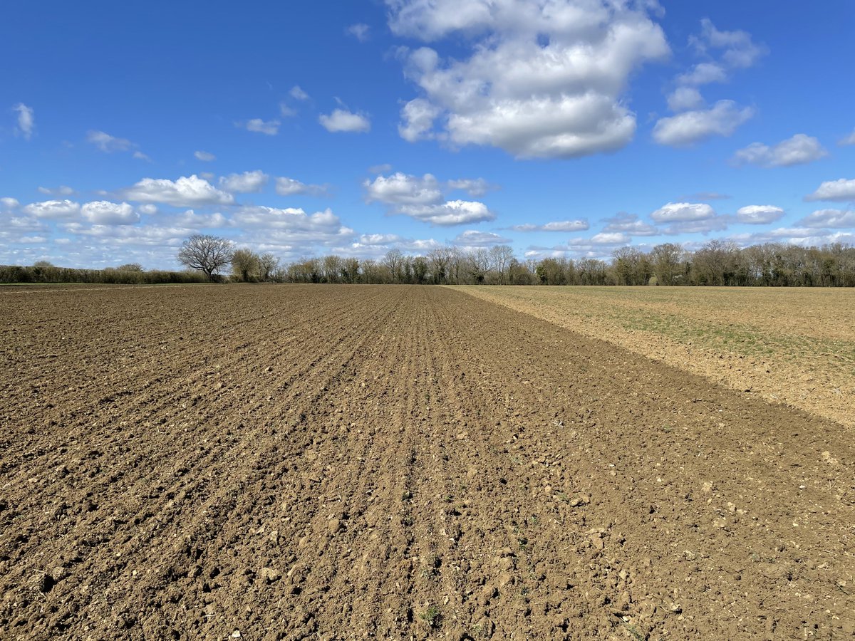 Samuel Prager tweet media