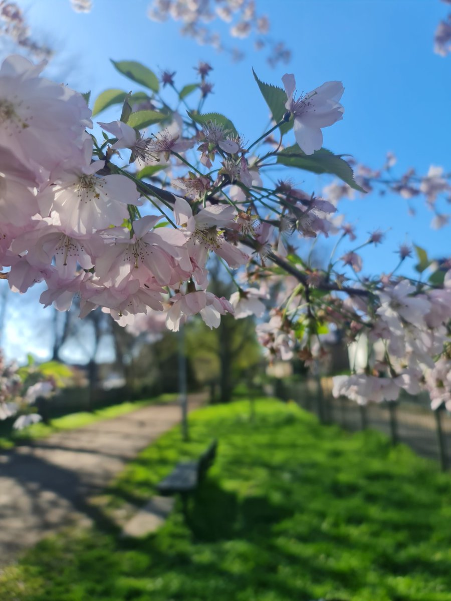 Love being in nature 😌 ☀️