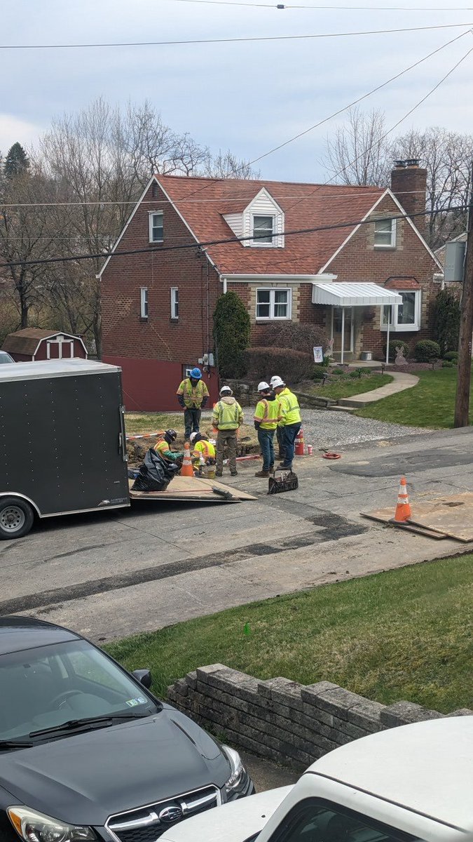 Buzzy Zano Torek tweet media