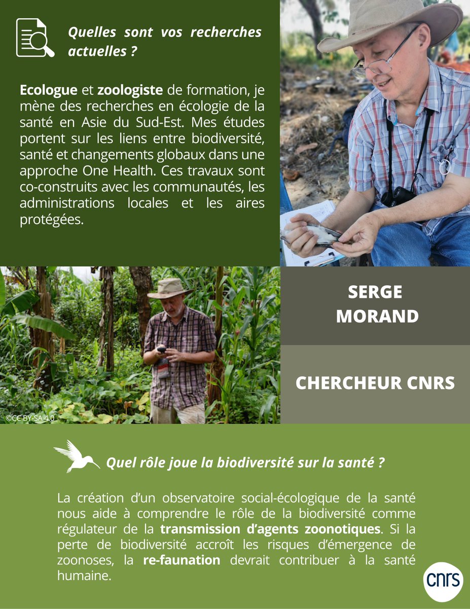#WorldHealthDay2023 🌍

À l'occasion de la #JournéeMondialeDeLaSanté, découvrez le portrait de Serge Morand écologue et zoologiste, il s'intéresse aux liens entre biodiversité, santé animale, végétale et humaine 🦇🌿🧍‍♂️

Plus d'infos ➡️ lejournal.cnrs.fr/articles/lurge…