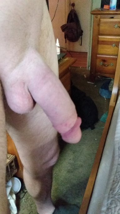 @lauren_xO263 https://t.co/4C6on2NOc2<a class="tags" target="_blank" title="On Twitter" href="/?out=eyJ0eXAiOiJKV1QiLCJhbGciOiJIUzUxMiJ9.eyJpYXQiOjE3MjQ4ODc4MTksImlzcyI6InR3cG9ybnN0YXJzLmNvbSIsIm5iZiI6MTcyNDg4NzgxOSwiZXhwIjoxNzU2NDIzODE5LCJyZWRpcmVjdF91cmwiOiJodHRwczovL3R3aXR0ZXIuY29tL2xhdXJlbl94TzI2MyJ9.F6KNDqwvDu1-lGD84ZXwB7dtnob3TCPaktrwBuFTRuT9e9LFuNvK2iKpia_SJjeAYk9hpBva9hoAzfNNts9gXQ">@lauren_xO263</a><a href="/tag/cpl4u2nv"class="tags"><span>#cpl4u2nv</span></a><a href="/tag/izzyswiift"class="tags"><span>#izzyswiift</span></a>