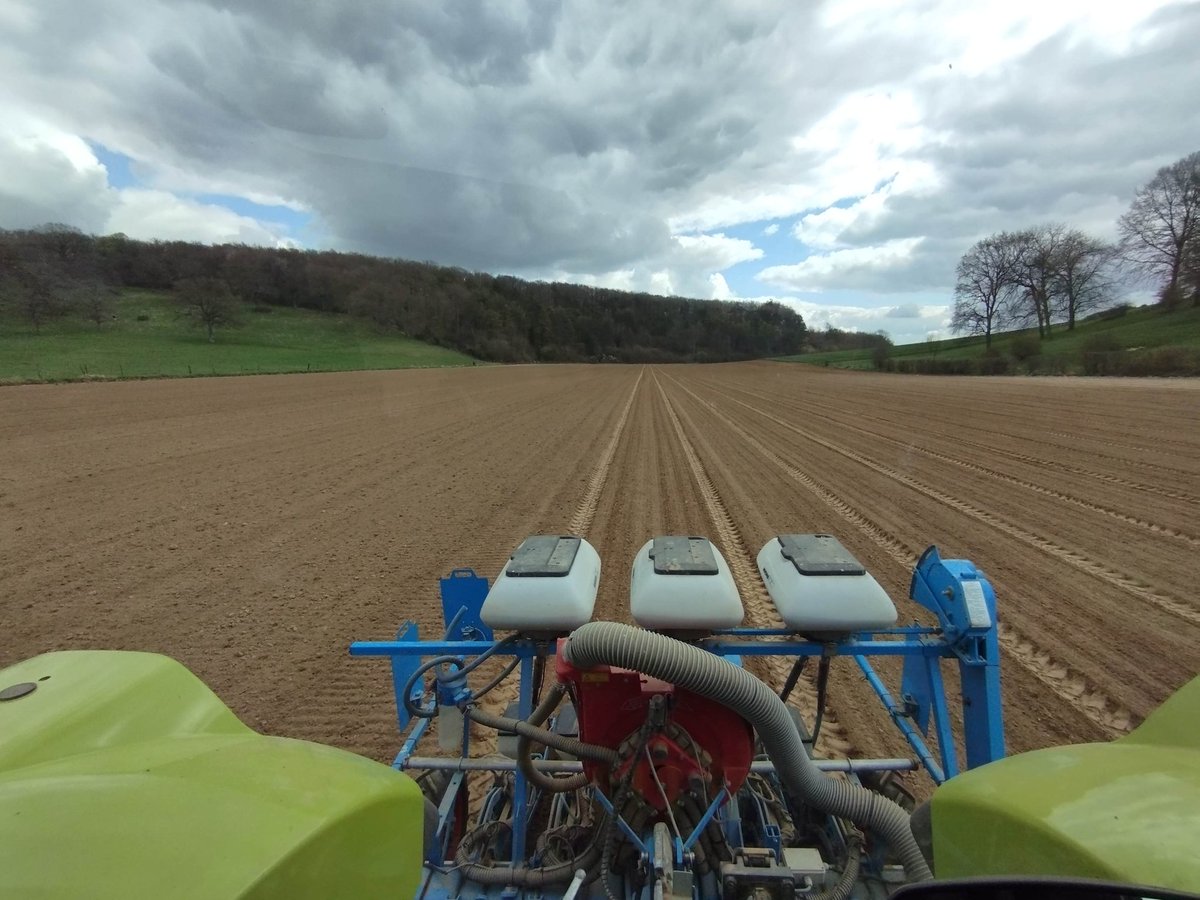 _Pivand154's tweet photo. Semis des Oignons 2023 en-cours 🧅 on profites du beau temps avant le retour de la pluie prévu semaine prochaine 🌞👌 #FrAgTw #agriculture #legumes https://t.co/o9Frb6YP0M