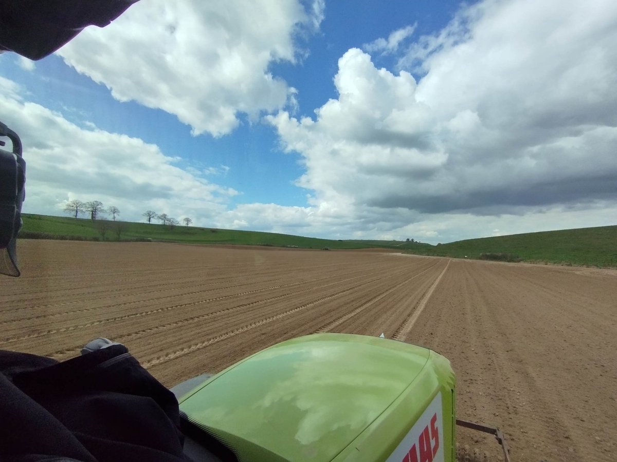_Pivand154's tweet photo. Semis des Oignons 2023 en-cours 🧅 on profites du beau temps avant le retour de la pluie prévu semaine prochaine 🌞👌 #FrAgTw #agriculture #legumes https://t.co/o9Frb6YP0M