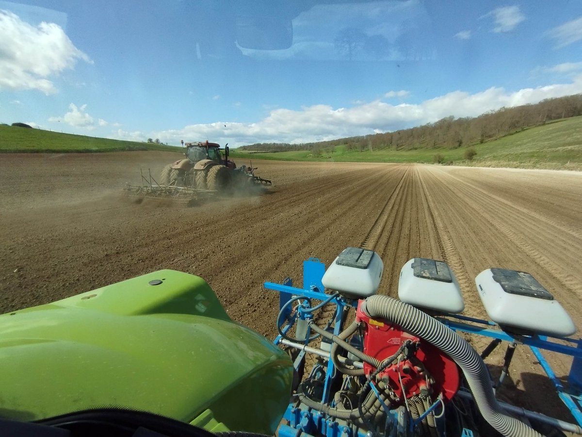 _Pivand154's tweet photo. Semis des Oignons 2023 en-cours 🧅 on profites du beau temps avant le retour de la pluie prévu semaine prochaine 🌞👌 #FrAgTw #agriculture #legumes https://t.co/o9Frb6YP0M