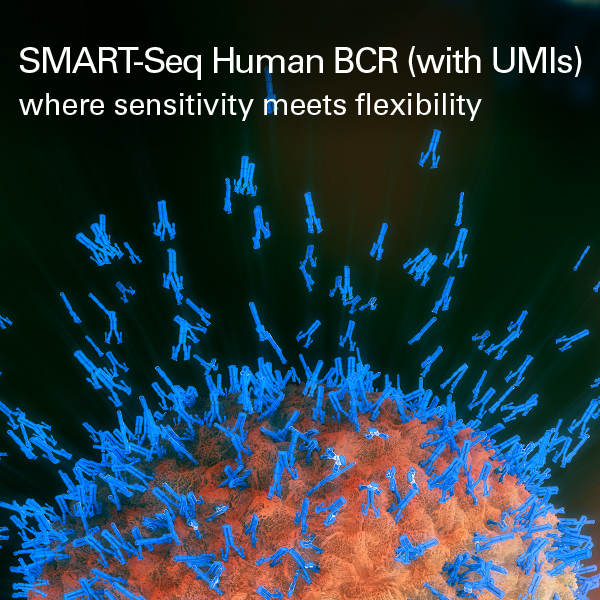 TakaraBioUSA's tweet photo. Decipher sequences of all BCR heavy and light chains with our SMART-Seq Human BCR (with UMIs) kit: https://t.co/nOVkMHxgOo
Sensitivity is now paired with accuracy, a streamlined workflow, and sequencing flexibility.
#BCRseq #immunerepertoire #RNAseq https://t.co/RqyQJcnRiR