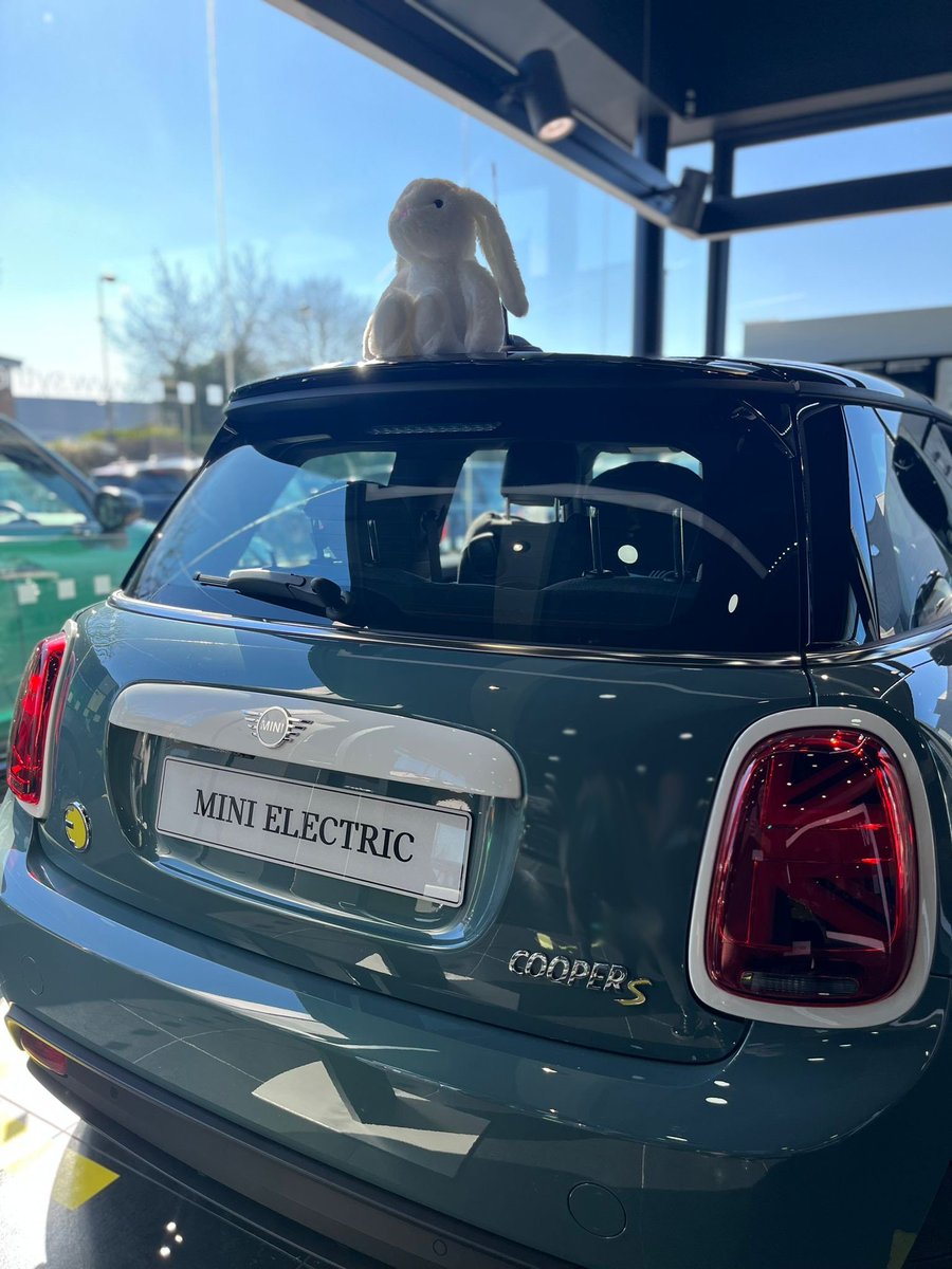SytnerMINI's tweet image. Ginny’s got a spring in her step today bouncing around the MINI Showroom!
#miniconvertible #newmini #wheresginny #ginnyinthemini #sytnermini #minirange #miniuk #minielectric #minicars