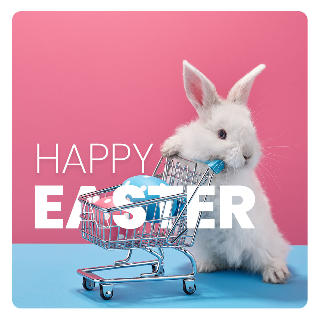 🐰🥚Happy Easter from the Push team!🥚🐰

We're grateful for the continued support and trust of our friends, customers and followers.

Here's to new beginnings and many more successes together. 

Have a great Easter Bank Holiday weekend!
 
#easter2023 #push4growth #gratitude