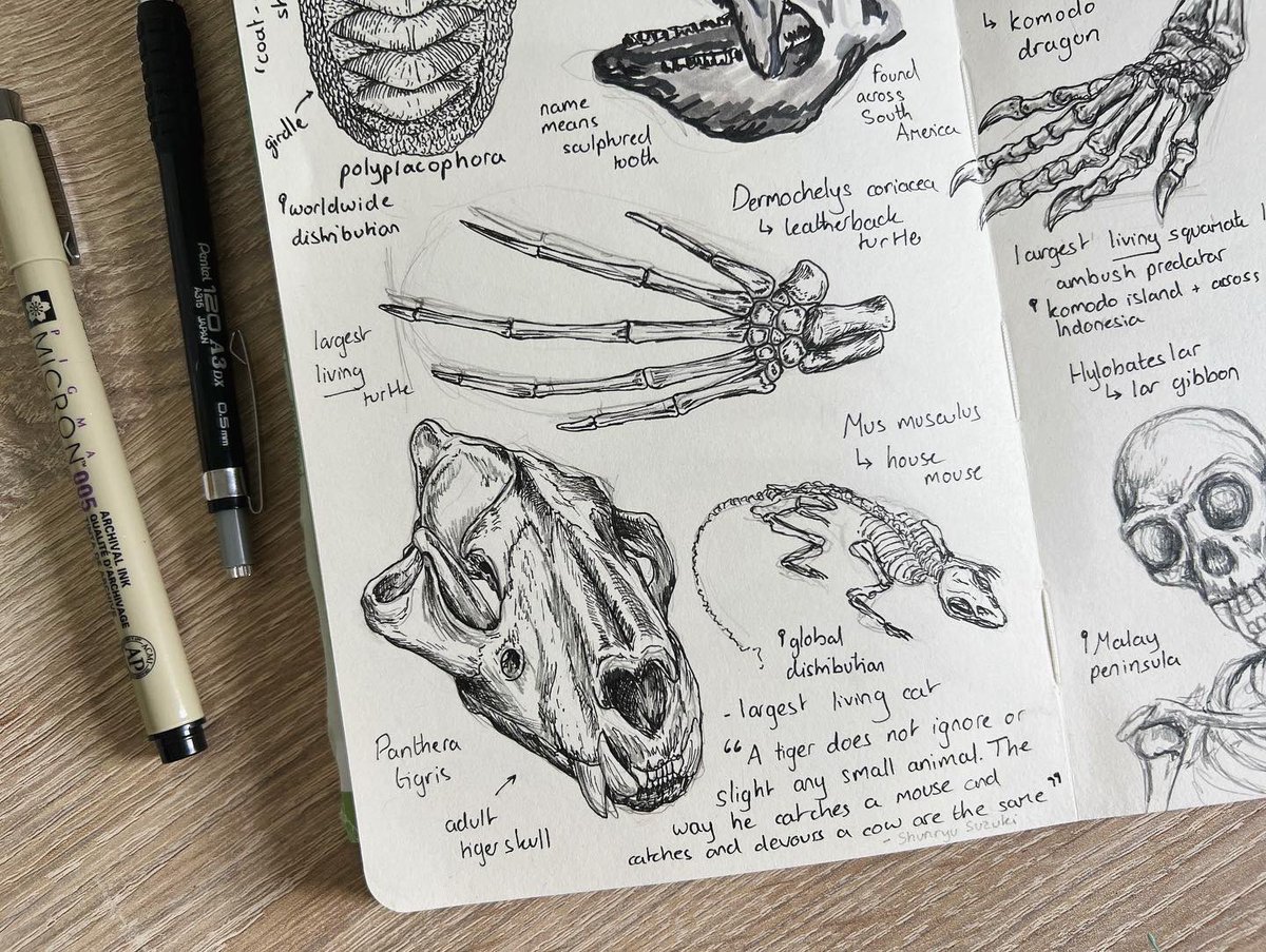 Grace Varnham tweet media