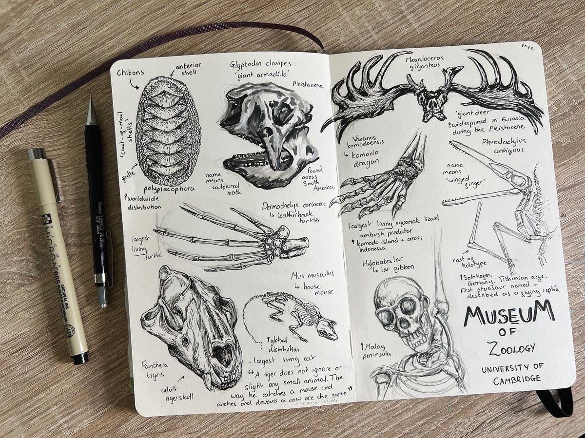 Grace Varnham tweet media