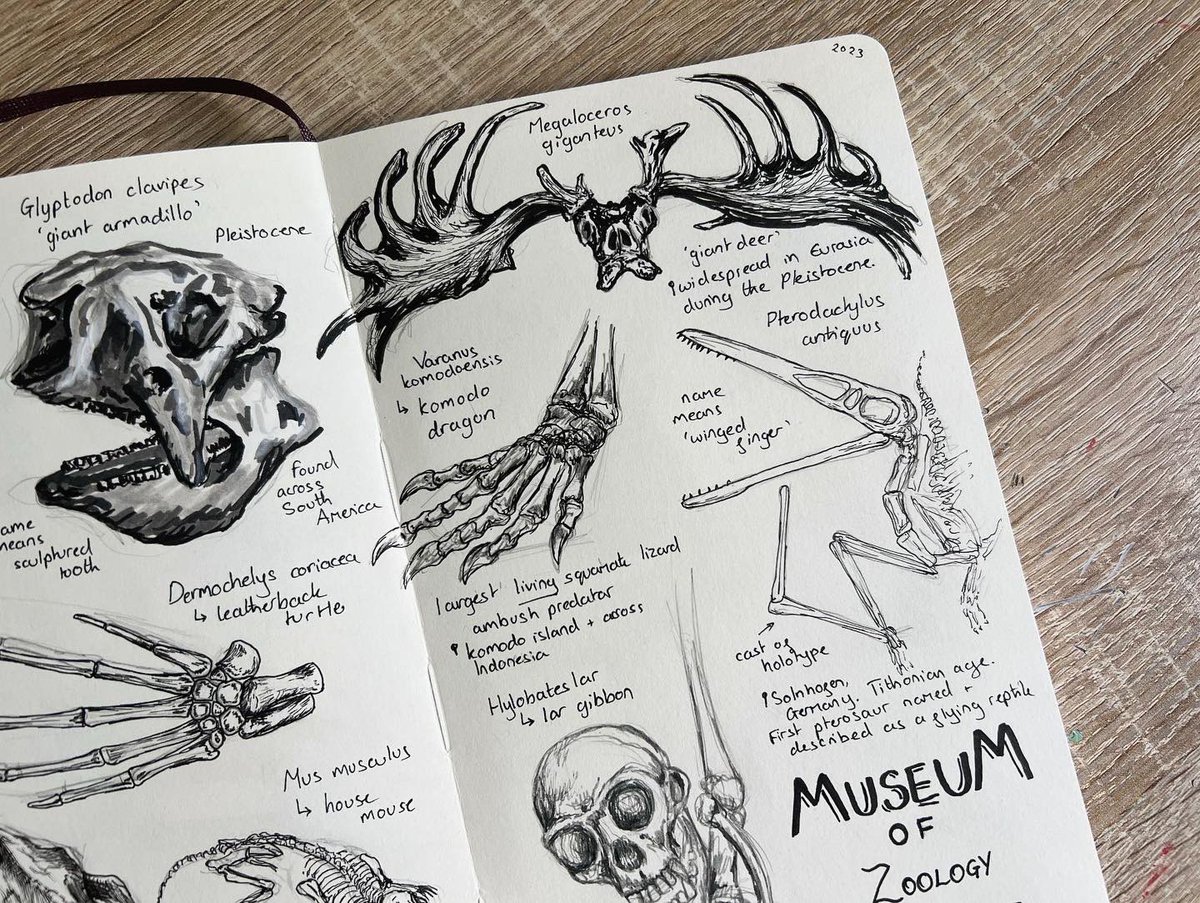 Grace Varnham tweet media