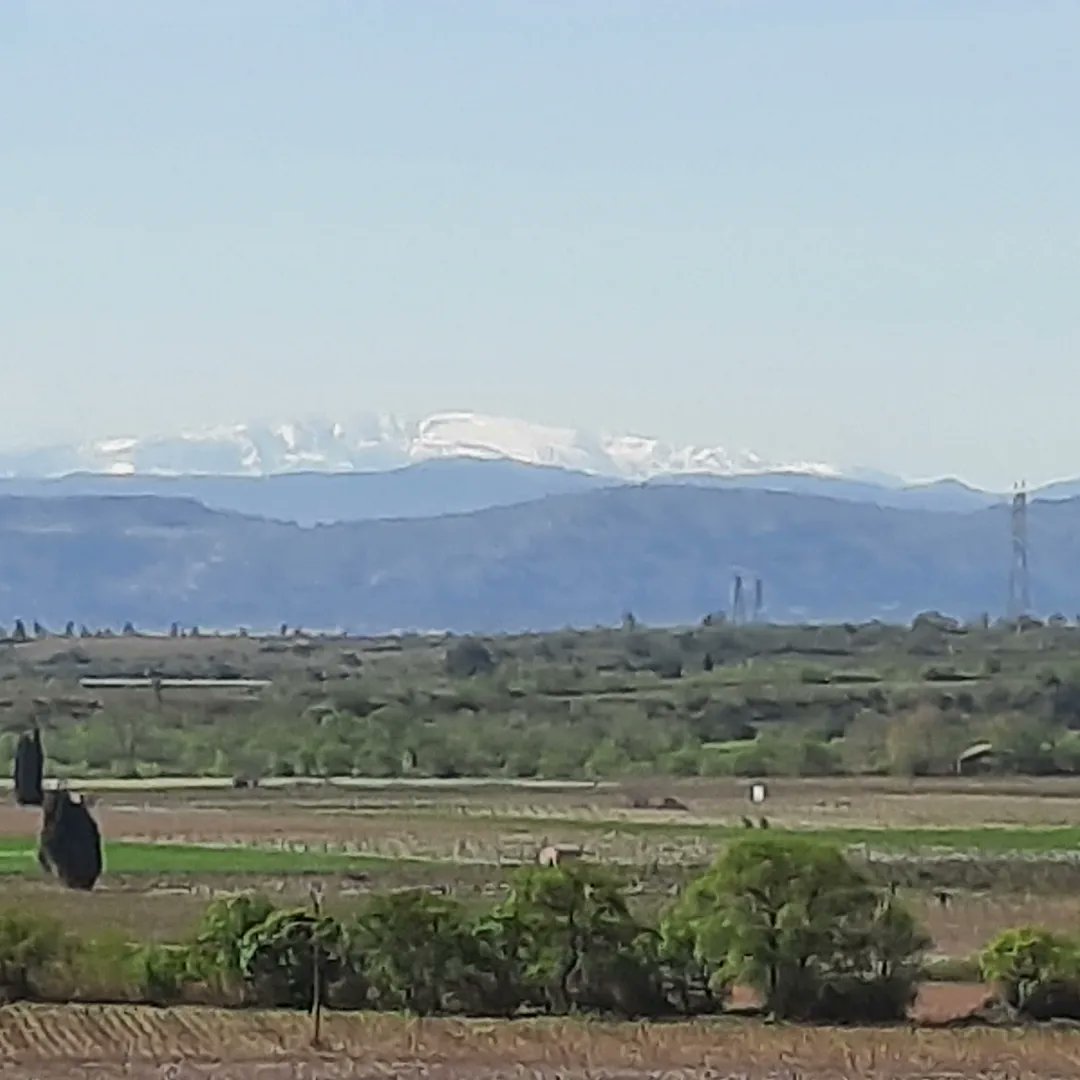 MagnoliaFrance's tweet image. #Azille looking beautiful today #weekendvibes #happyday