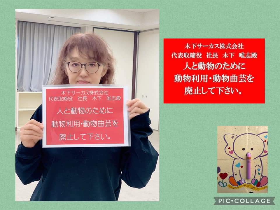 Tyke_Forever's tweet photo. メッセージボードアクション👍✨
年中無休絶賛活動中にて年中無休絶賛募集中です‼️木下大サーカスにはどうぶつに優しい倫理的に更に優れた会社に産まれ変わって欲しい‼️

リツイートもどんどんして下さい♪

#木下大サーカス #kinoshitacircus
#120周年 #札幌公演 #新潟公演
#ホワイトライオン #ハタリ https://t.co/EQKN3OftzL