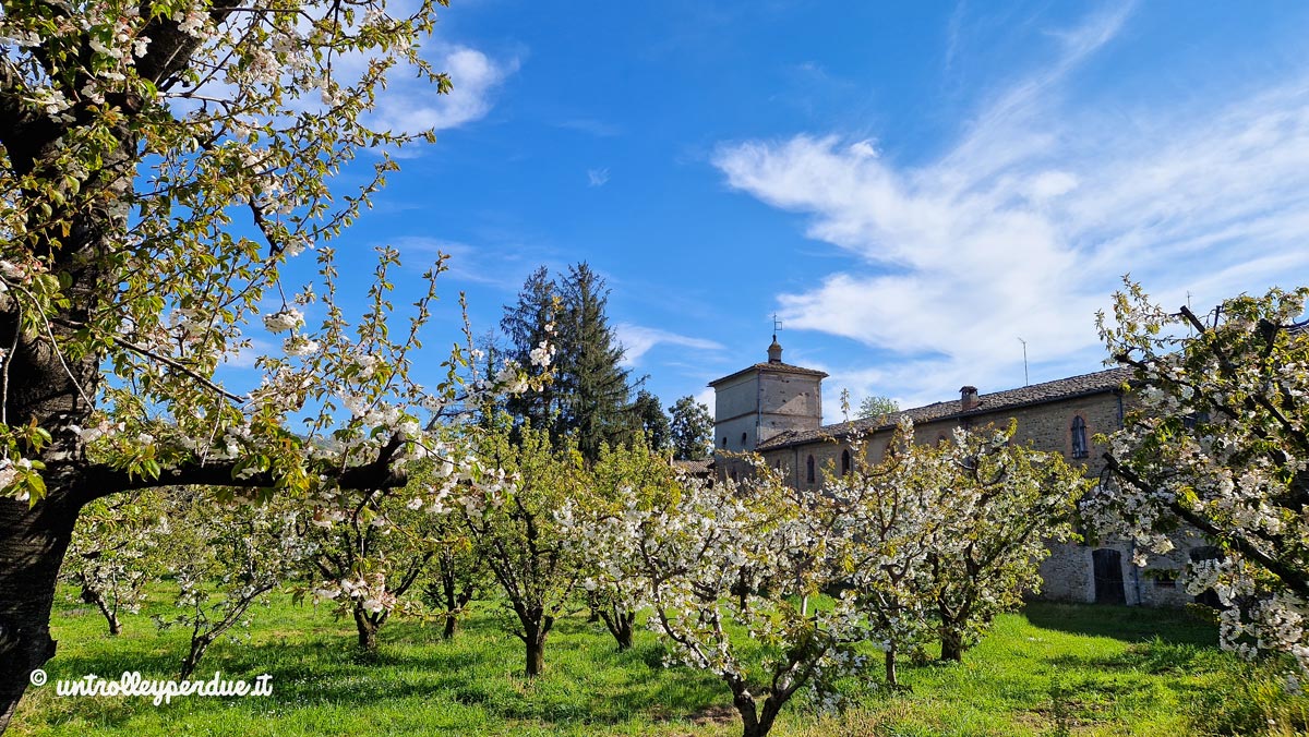 🍒 La Via dei Ciliegi di #Vignola
Ad inizio aprile, la bassa valle del Panaro tra Vignola e Marano si colora di bianco, grazie alla fioritura dei #ciliegi.
🚶🏻‍♀️È il momento giusto per una passeggiata lungo la Via dei Ciliegi!
👇
untrolleyperdue.it/la-via-dei-cil…