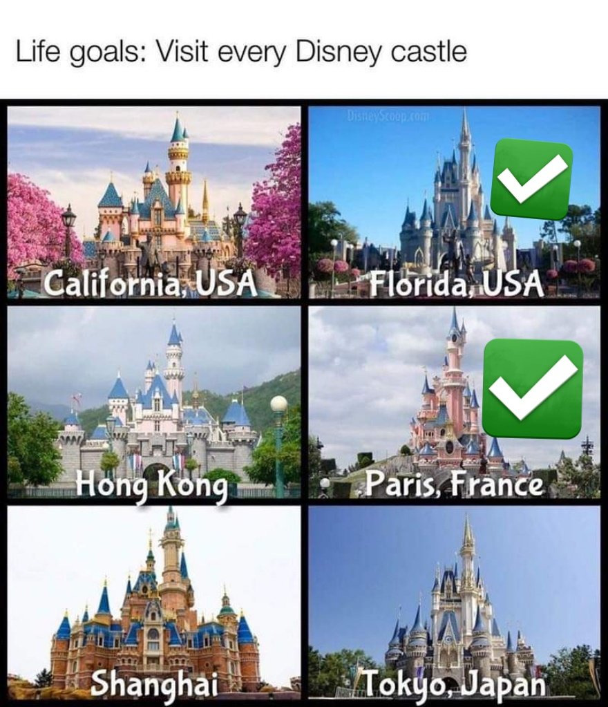 Nami 🐧🐾 tweet media