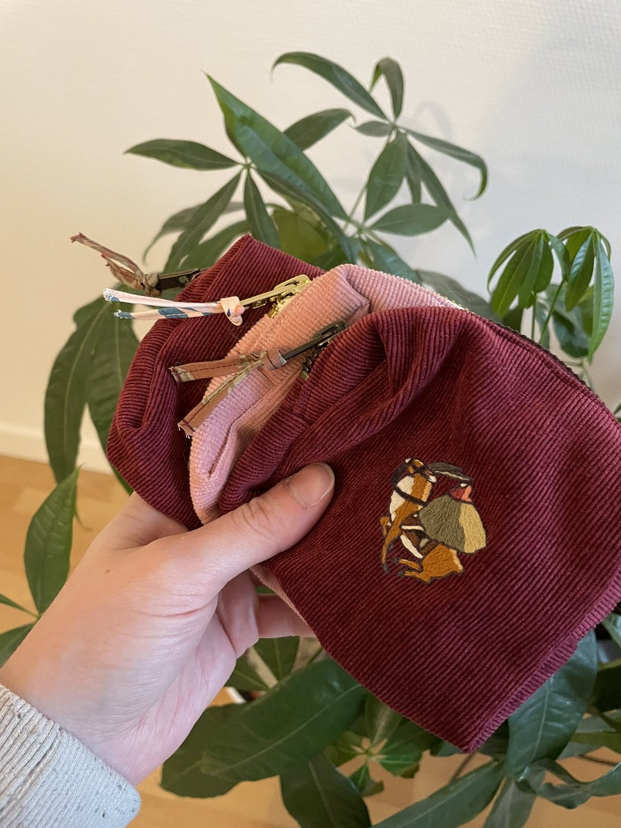 AmeTwins tweet media