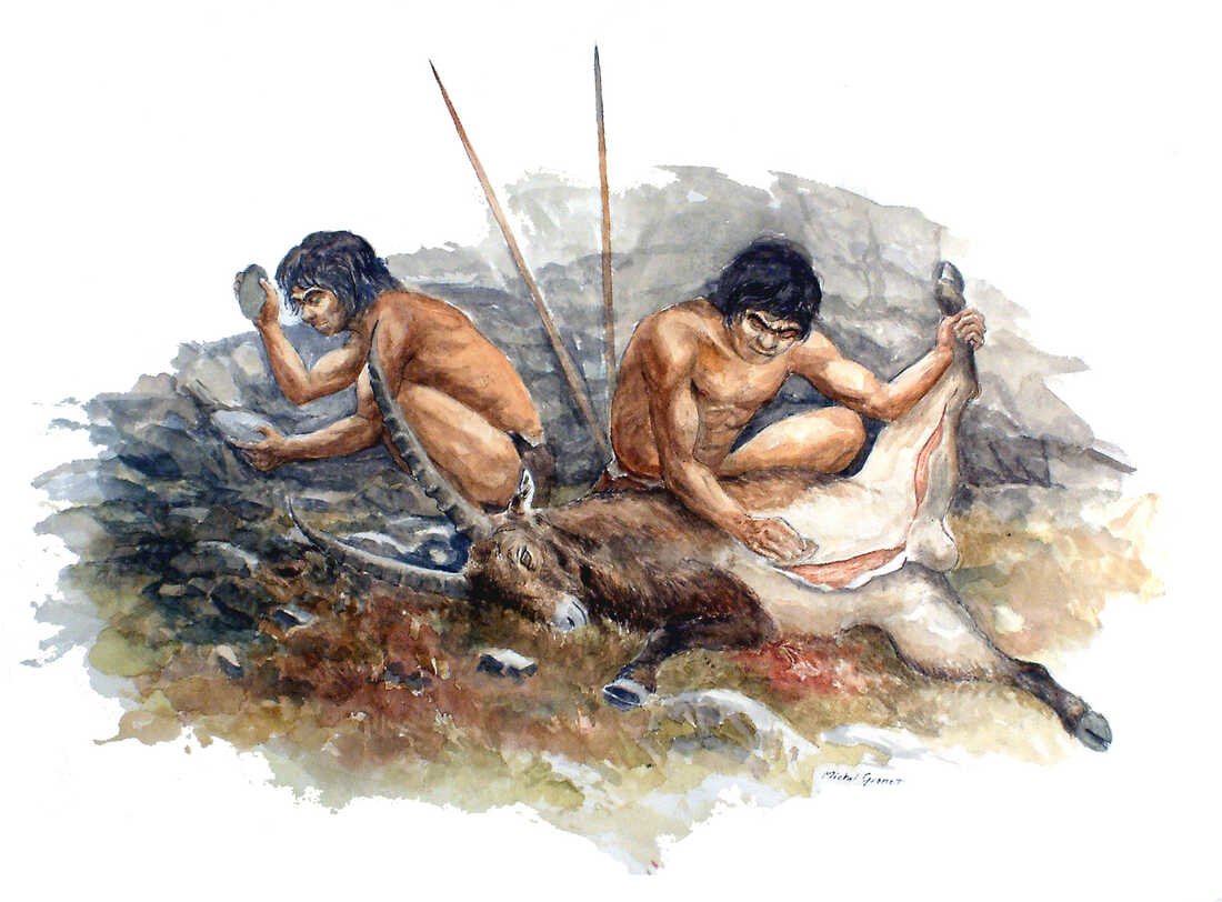 realmeetjames's tweet photo. 🥩 This groundbreaking study challenges our understanding of human evolution and diet, highlighting our carnivorous past. Let's embrace our history and learn from it! 

#EvolutionaryHistory #CarnivoreDiet https://t.co/DiEeJZLRzP