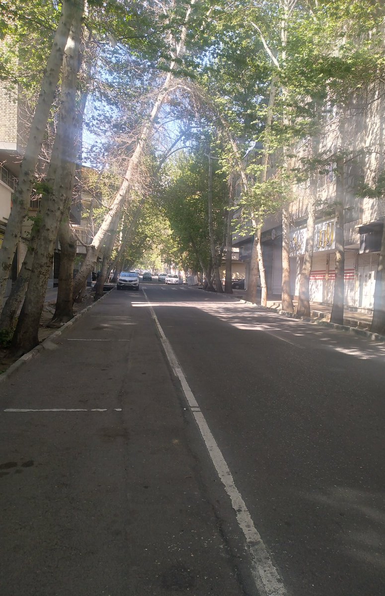 Bradley jan tweet media