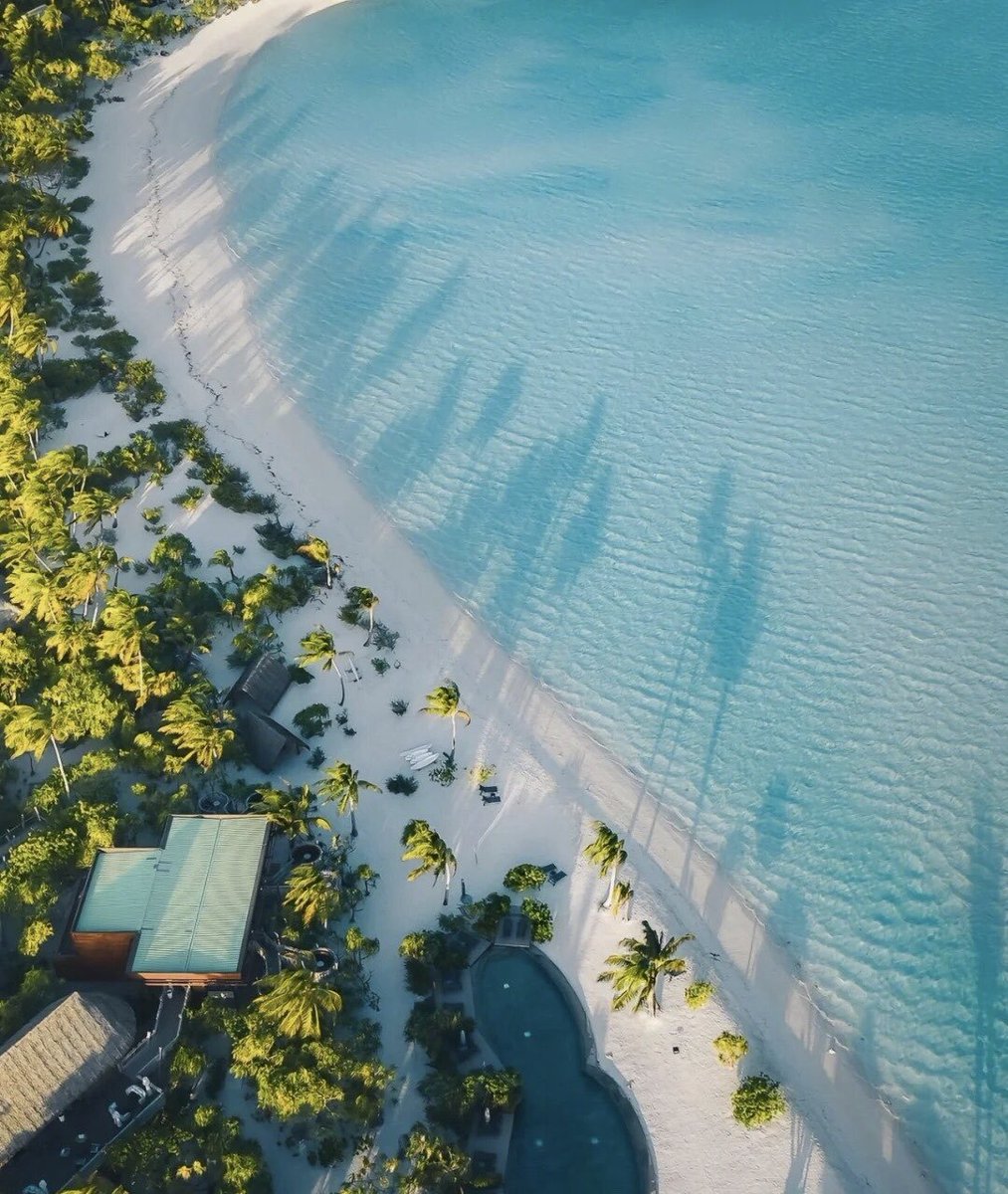 lotochi4's tweet photo. Polynesia📷#photograghy #NaturalBeauty https://t.co/y9ZKzGzeKs
