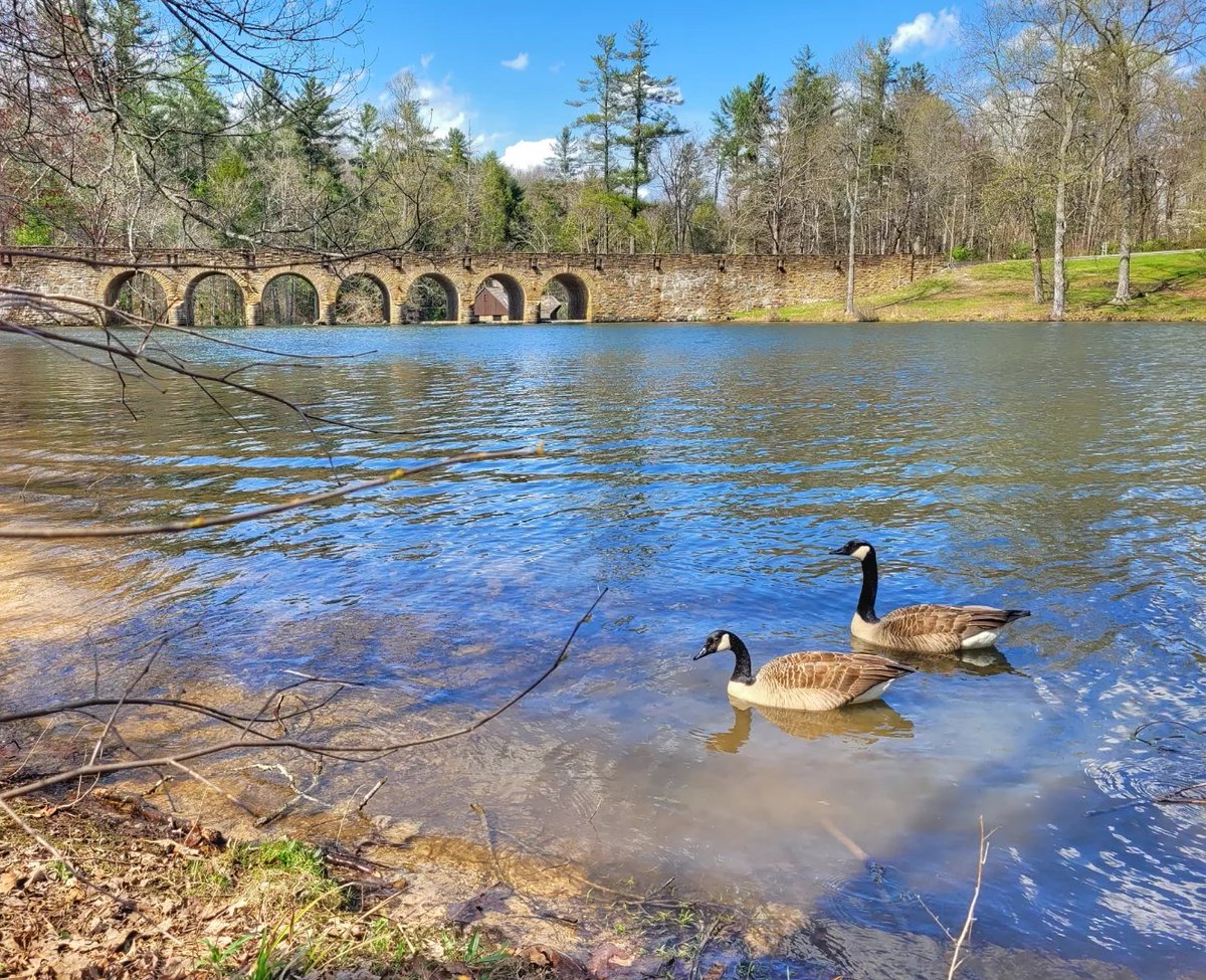AlisonPryorWx's tweet photo. Beautiful scenes from Cumberland Mountain State Park by Denise McMillan. Now that is picturesque!! #spring #TNparks #stateparks #flowers #TNwx https://t.co/RS3ioNiHM3