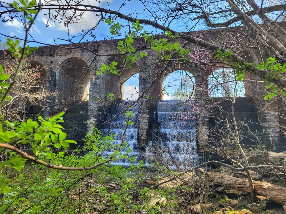 AlisonPryorWx's tweet photo. Beautiful scenes from Cumberland Mountain State Park by Denise McMillan. Now that is picturesque!! #spring #TNparks #stateparks #flowers #TNwx https://t.co/RS3ioNiHM3