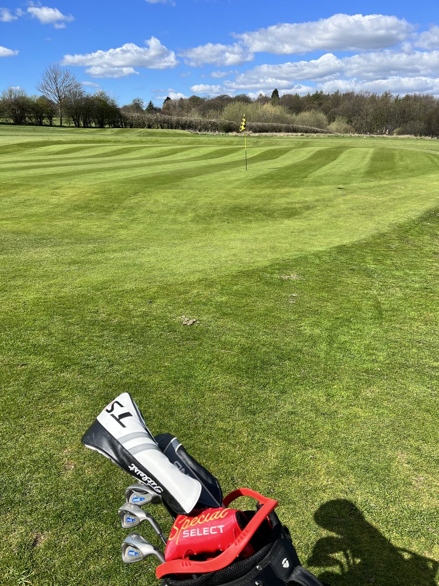 What a glorious day for a knock ⛳️⛳️