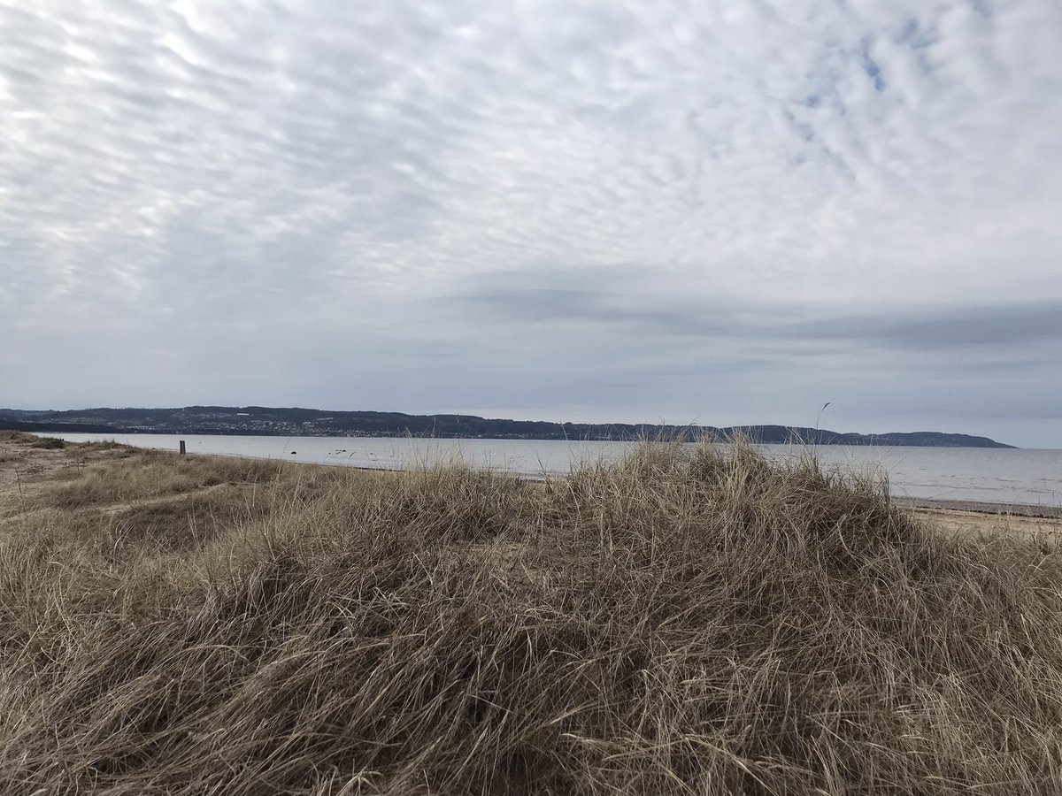 Jag går längs stranden i södra Halland. Som vanligt lyssnar jag på poddar från SR. Idag har jag lärt mig (genom Fråga Agnes Wold) att Man cold antagligen existerar. De refererade bl a till två personer som genomgått könskorrigering från kvinna till man o fått värre förkylningar.