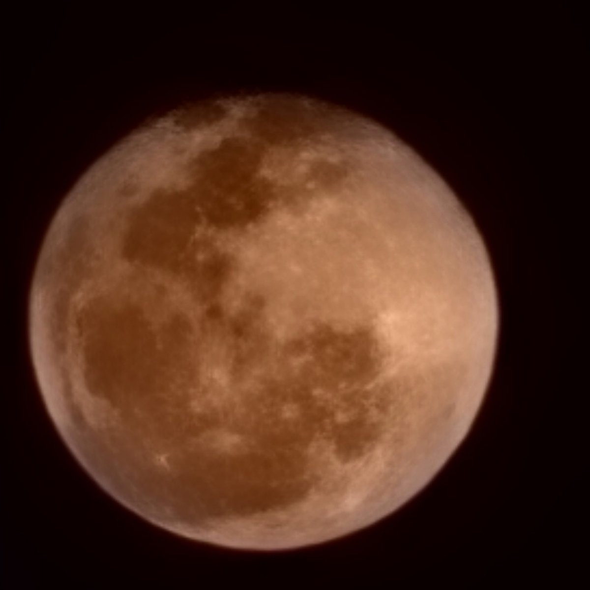 steelsheen's tweet photo. the moon is incredible tonight π»ππ΅π #PinkMoon #PinkMoon2023 #PinkMoonPH
(taken with Samsung S22 Ultra) https://t.co/0sMDrqWUON