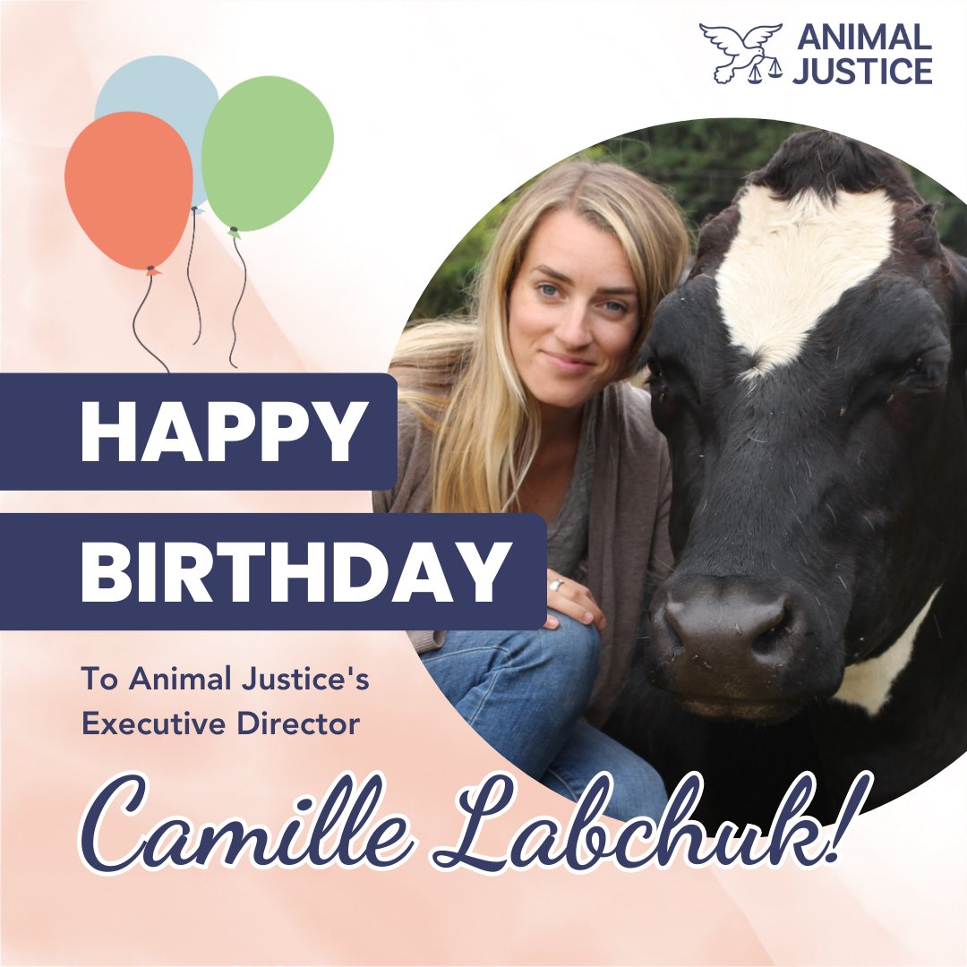 Animal Justice tweet media