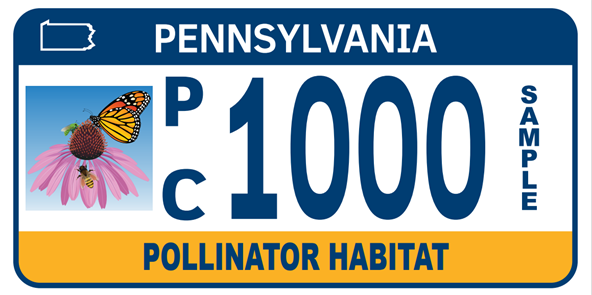 A new Special Fund license plate is now available to Pennsylvanians. The Pollinator Habitat plate helps recognize some of the Commonwealth’s smallest – yet hardest working – residents. 📷

<a href="/PennDOTNews/">PA Department of Transportation</a>